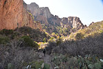 photo thumbnail #5