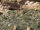 photo thumbnail #12