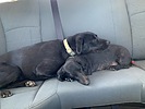 photo thumbnail #3