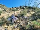 photo thumbnail #4