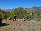 2021-02-19 :3: 4x4 Scenic Drive to Thompson Mesa- Salome Wild :: Grasshopper