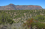 2021-02-19 :3: 4x4 Scenic Drive to Thompson Mesa- Salome Wild :: Grasshopper