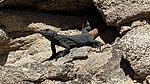 photo thumbnail #6