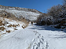 photo thumbnail #10