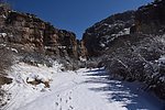 photo thumbnail #12