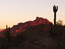 photo thumbnail #4