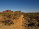 photo thumbnail #8