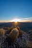photo thumbnail #14