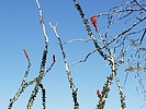 photo thumbnail #1