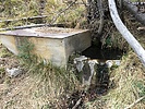 Featured Detail Photo
