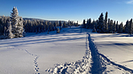 photo thumbnail #11