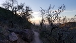 photo thumbnail #10