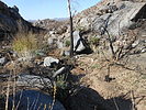 photo thumbnail #12