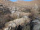 photo thumbnail #15