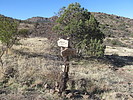 photo thumbnail #4