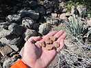 photo thumbnail #5