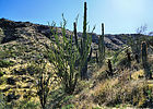 photo thumbnail #5