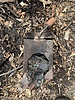 photo thumbnail #13