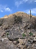 photo thumbnail #12