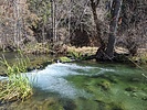 photo thumbnail #5