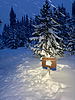 photo thumbnail #11