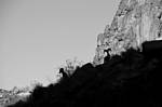 photo thumbnail #11