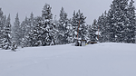 photo thumbnail #9
