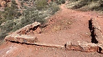 photo thumbnail #14