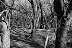 photo thumbnail #5