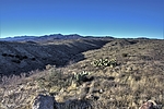 photo thumbnail #3