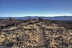 photo thumbnail #4