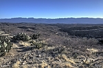 photo thumbnail #5