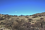 photo thumbnail #7