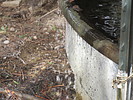 photo thumbnail #11