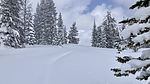 photo thumbnail #14