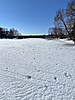 photo thumbnail #8