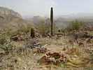 photo thumbnail #5