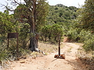 photo thumbnail #7