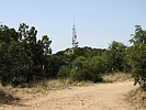 photo thumbnail #8