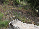 photo thumbnail #11