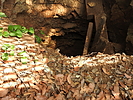 photo thumbnail #14