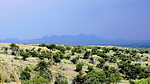 2020-08-20 :3: Melendrez Pass-Morning Star Mine :: rwstorm