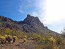2021-03-04 :1: Sunset Vista Trail - Picacho Peak :: kingsnake