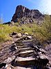 2021-03-04 :1: Sunset Vista Trail - Picacho Peak :: kingsnake