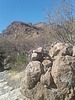 photo thumbnail #12