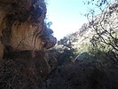 photo thumbnail #15