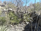 photo thumbnail #10