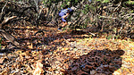 photo thumbnail #7