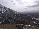 photo thumbnail #7