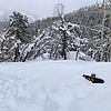 photo thumbnail #2